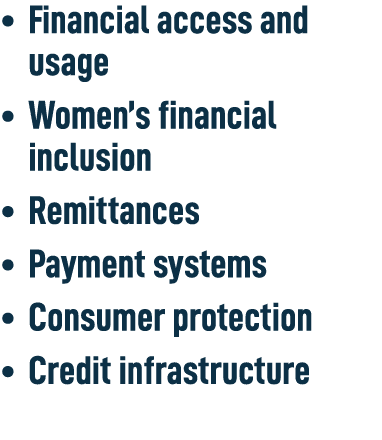 • Financial access and usage • Women’s financial inclusion • Remittances • Payment systems • Consumer protection • Cr...