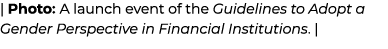 | Photo: A launch event of the Guidelines to Adopt a Gender Perspective in Financial Institutions. |